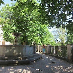 img_1477.jpg