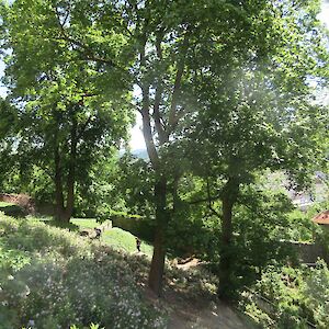 img_1483.jpg