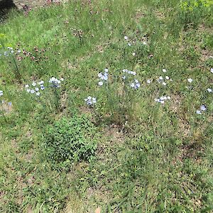 img_1491.jpg