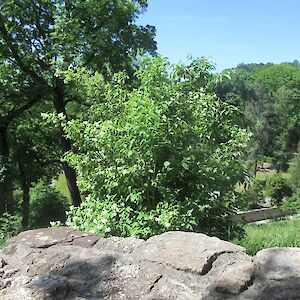 img_1496.jpg