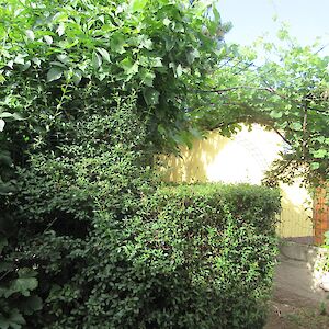 img_1551.jpg