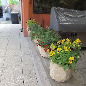 img_1552.jpg