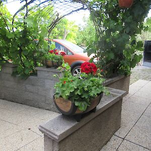 img_1553.jpg