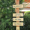 img_1559.jpg