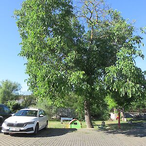 img_1572.jpg