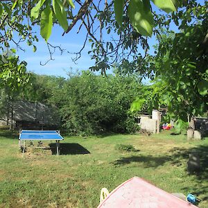 img_1576.jpg