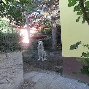 img_1577.jpg