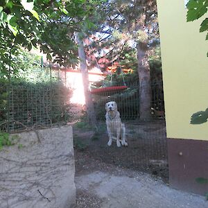img_1578.jpg