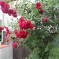 img_1602.jpg