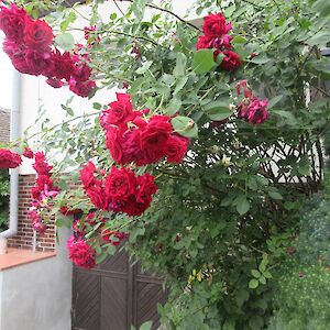 img_1602.jpg