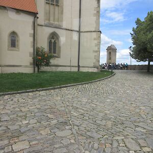 img_1585.jpg