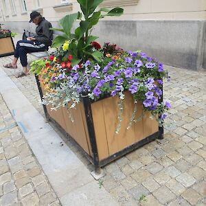 img_1587.jpg