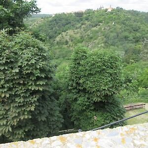 img_1592.jpg