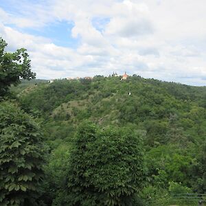 img_1593.jpg