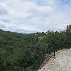 img_1594.jpg