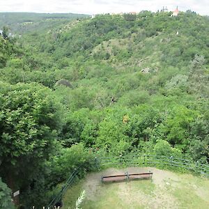 img_1595.jpg