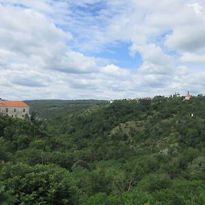 img_1596.jpg