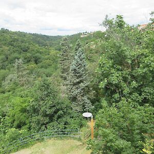 img_1597.jpg
