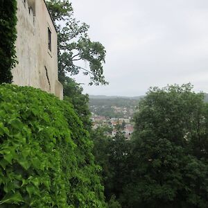 img_1611.jpg
