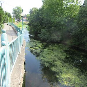 img_1750.jpg