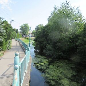 img_1753.jpg