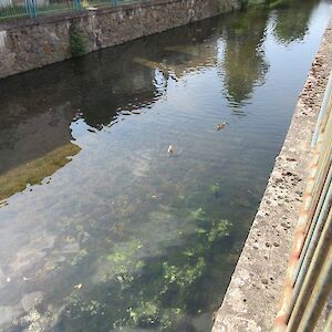 img_1754.jpg