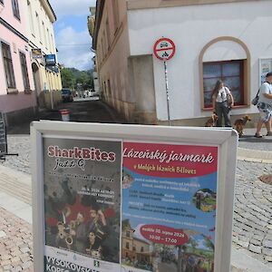 img_1782.jpg