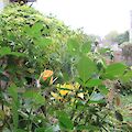 img_1998.jpg